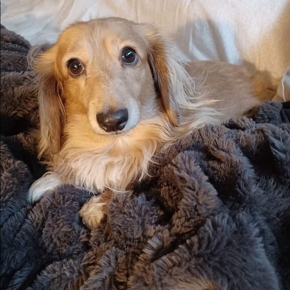 Meet your Posher, Lynn - Picture 14 of 15